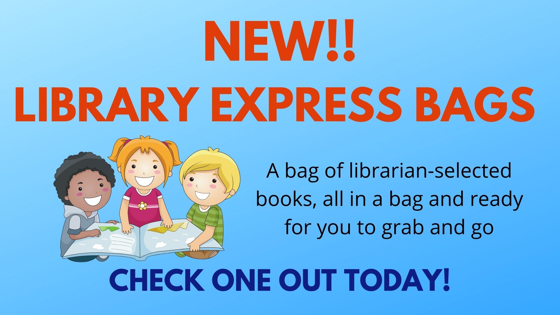 Library express bags 