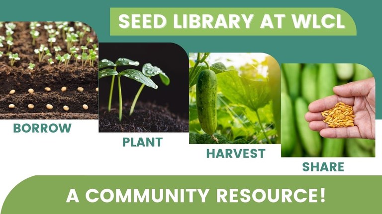 _seed library for web (8.5 × 11 in) (Presentation).jpg